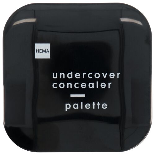 undercover concealer palette