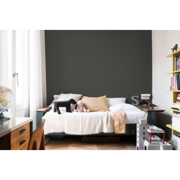 Flexa Creations muurverf Kleurtester Factory Green mat 30ml