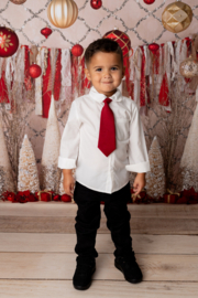 Little boys blouse - wit (exclusief stropdas)