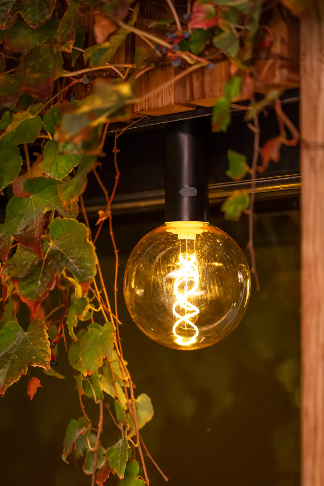 LED-Außenpendelleuchte Edy