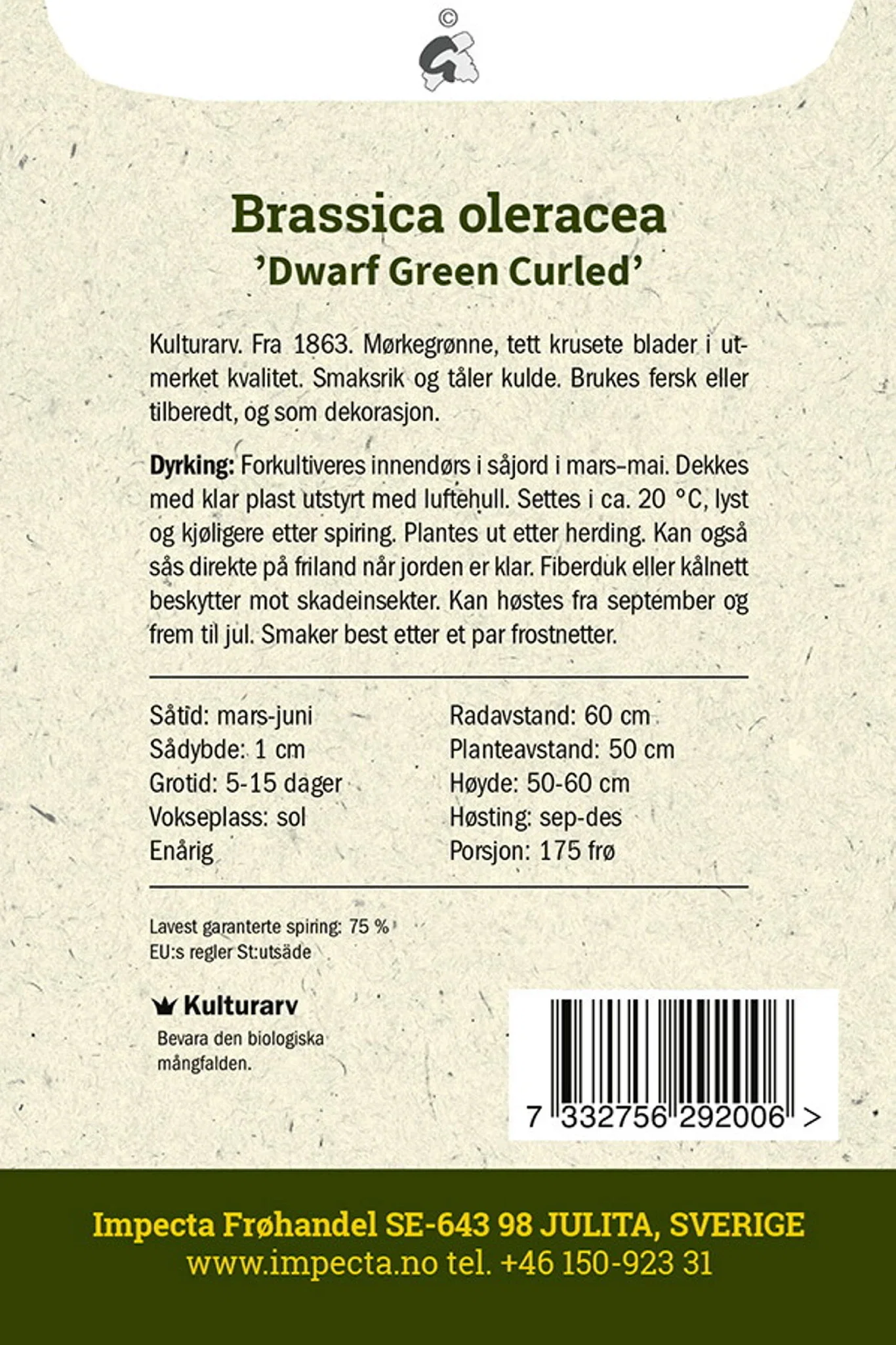 Brassica oleracea 'Dwarf Green Curled' Grønnkål 'Dwarf Green Curled'