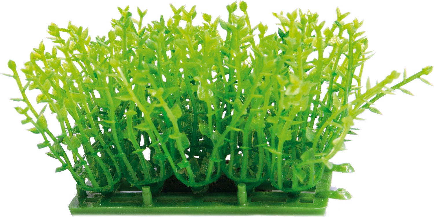 SuperFish aquarium kunstplant Easy Plants carpet M groen 8 x 4,5 x 3 cm