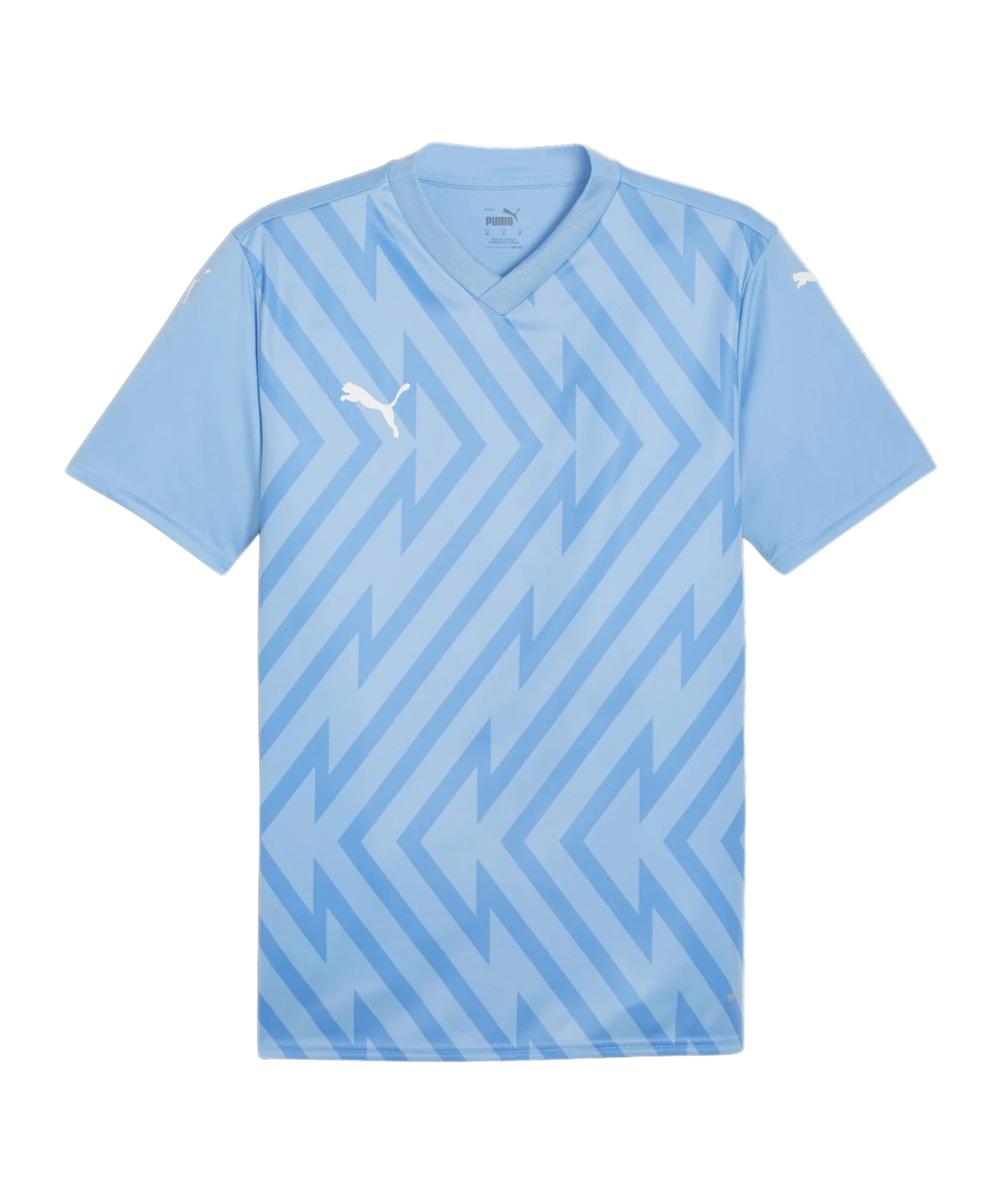 PUMA teamGLORY Trikot Blau Weiss Blau F18