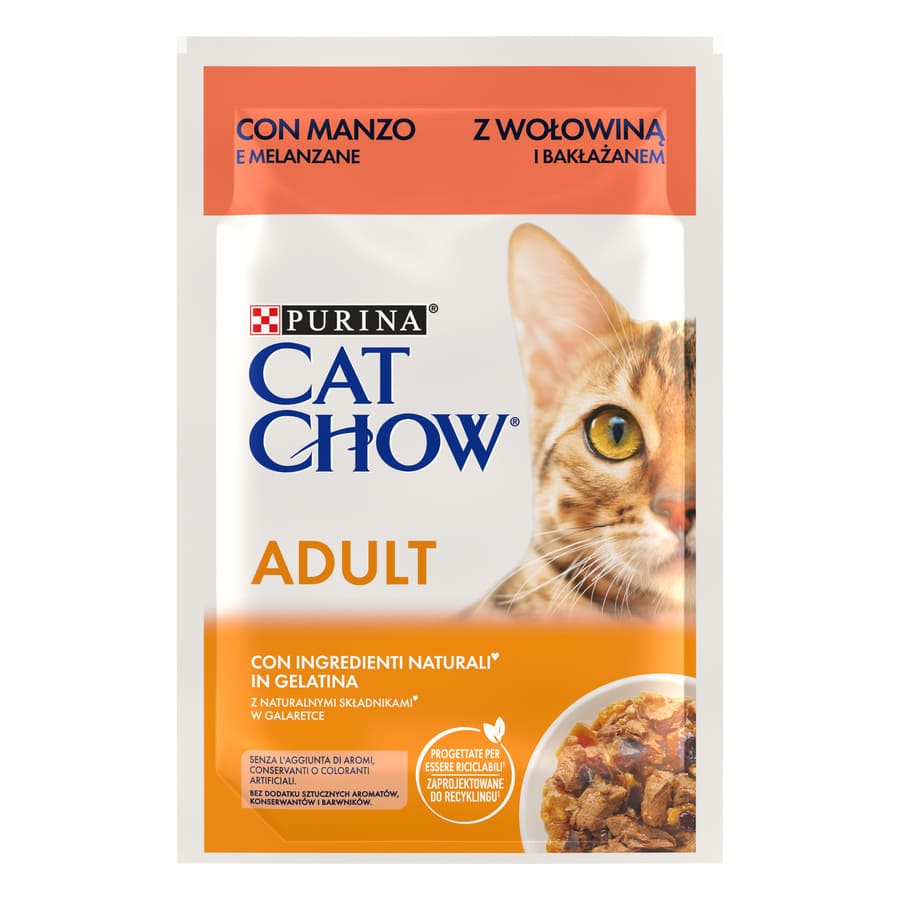 Cat Chow Carne em Gelatina