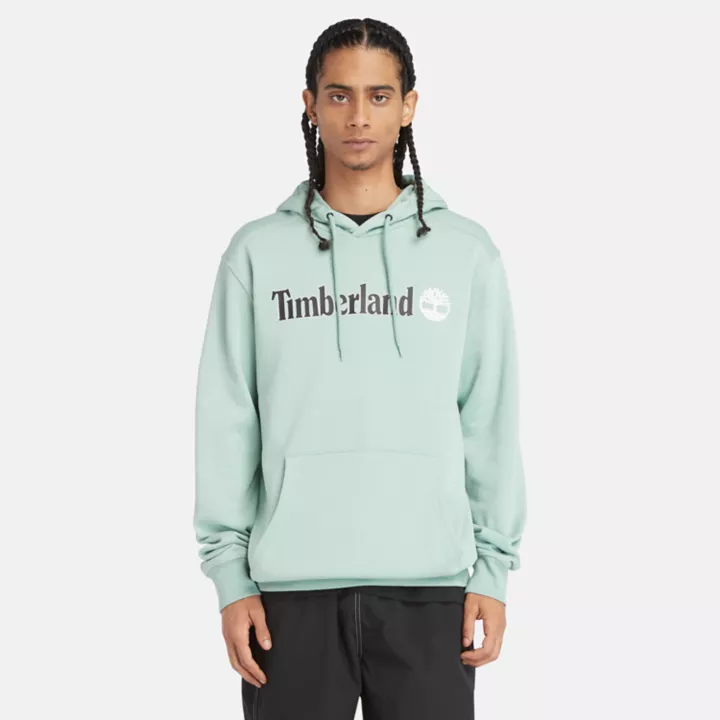 Sweat à capuche et logo linéaire pour homme en vert pâle