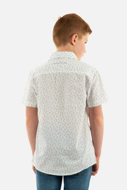 Chemises manches courtes teddy smith hook 202 blanc