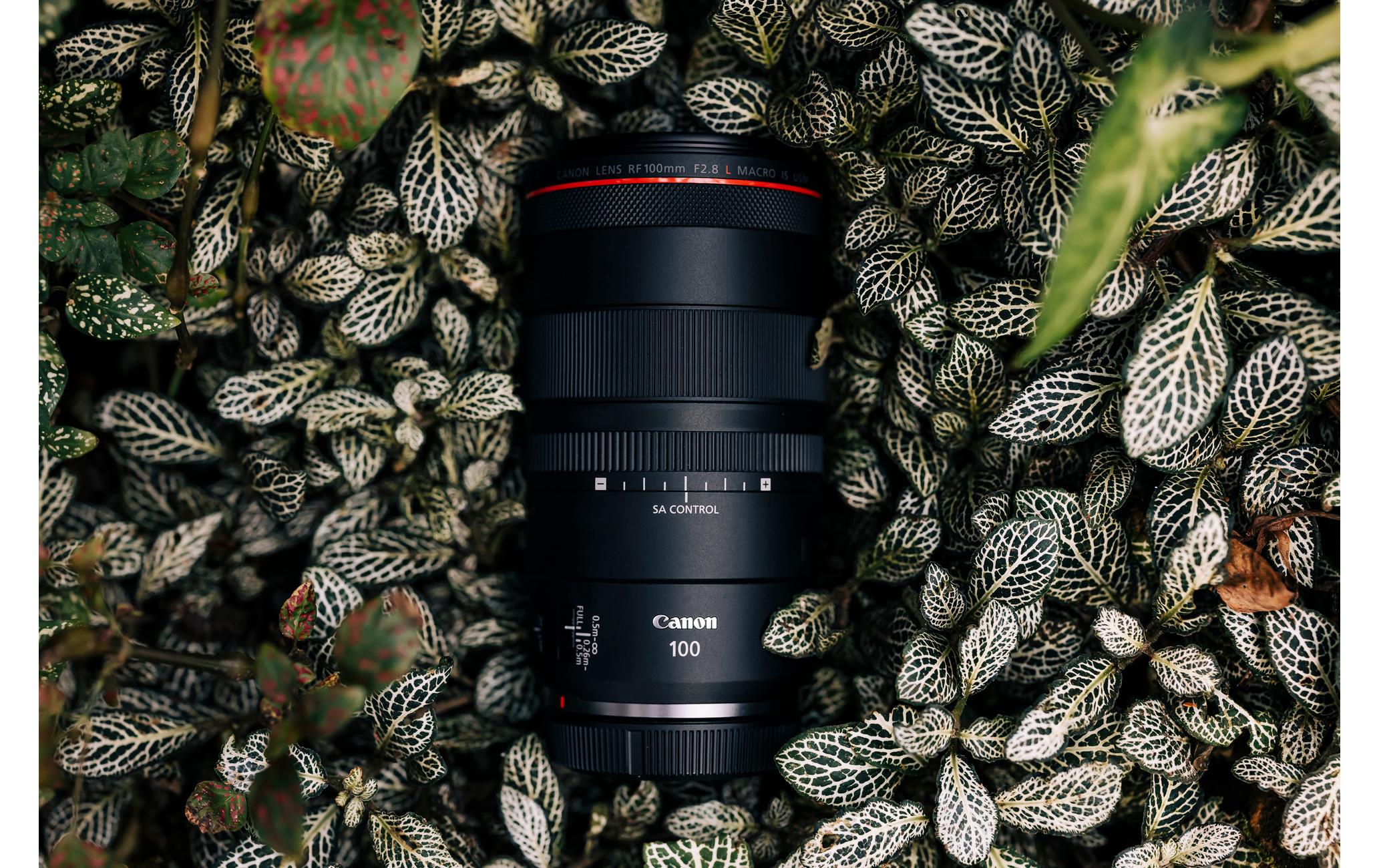 Festbrennweite RF 100mm F/2.8 L Macro IS USM – Canon RF<br>Makroobjektiv mit einer unglaublichen 1.4-fachen Vergrösserung