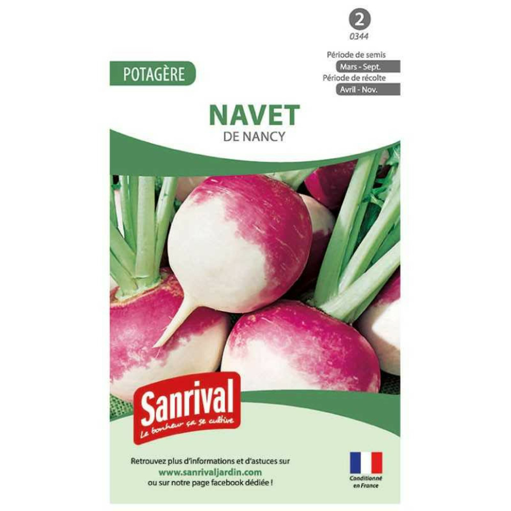 Graines navet