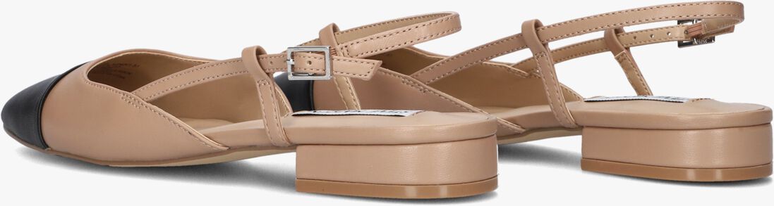 STEVE MADDEN bruine steve madden  belinda