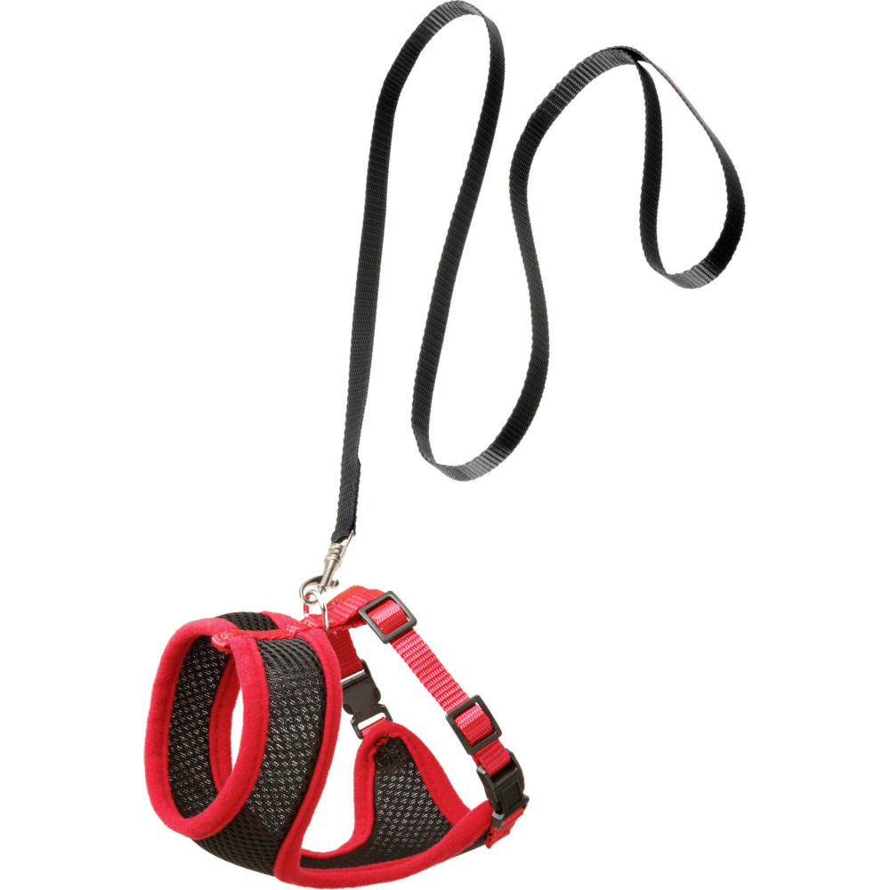 Harnais pour grand chat, couleur noir et rouge, taille l, réglable
