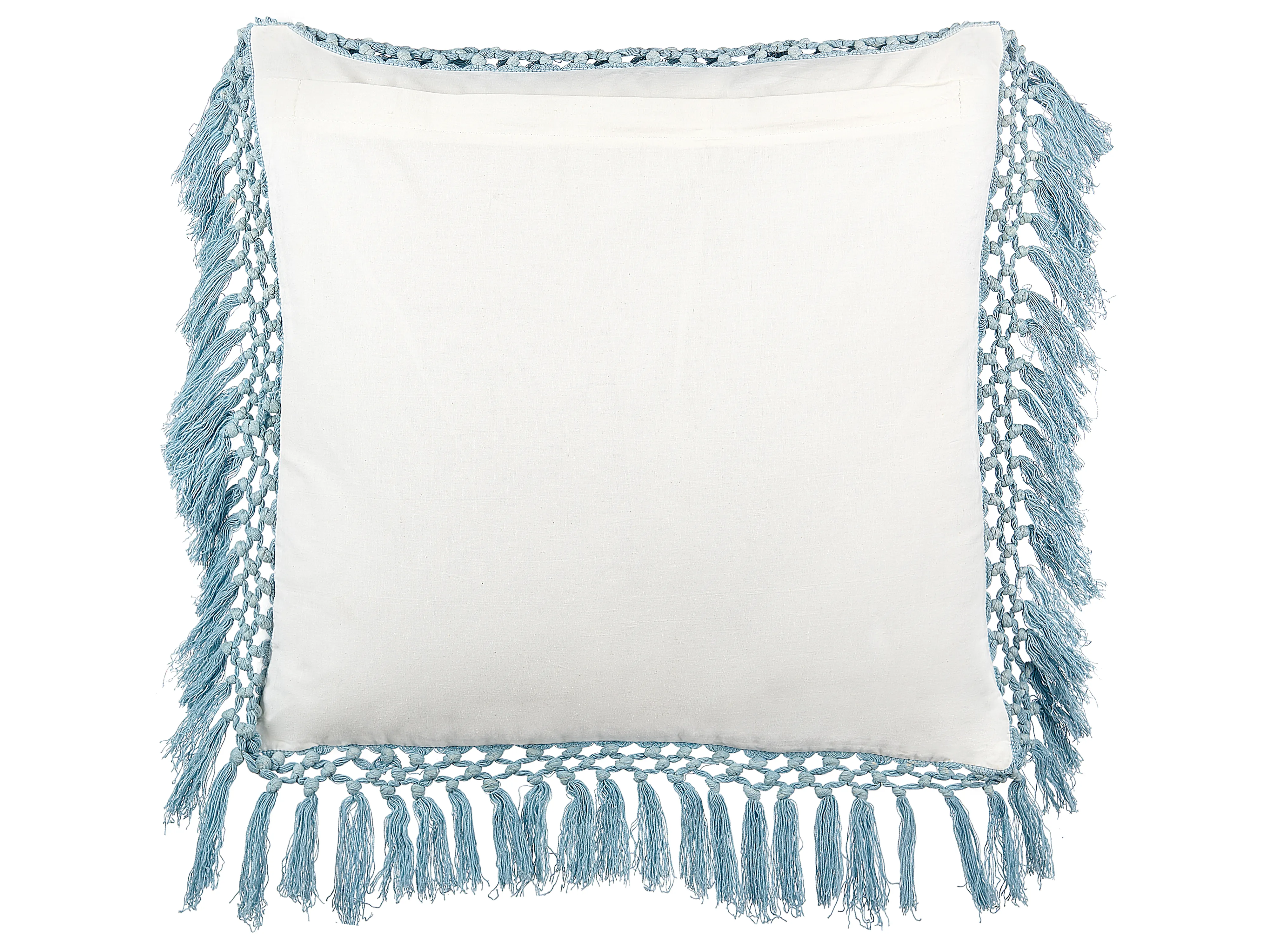Set van 2 sierkussens PALLIDA Katoen 45 x 45 cm Blauw bloempatroon
