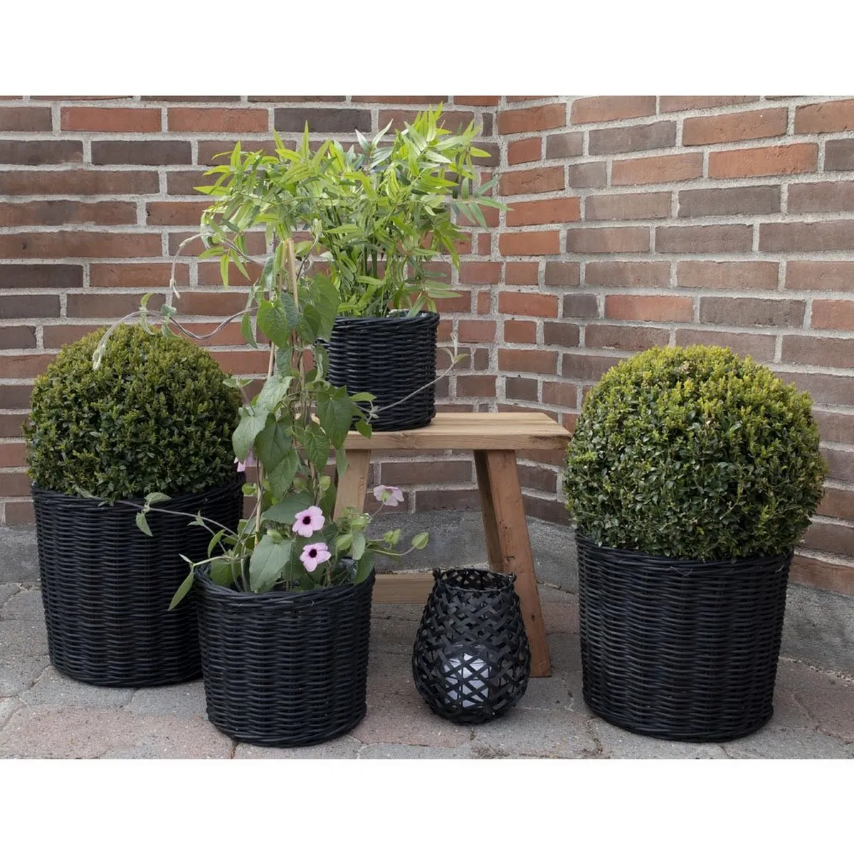 Epikasa Lot de 4 paniers Bogor