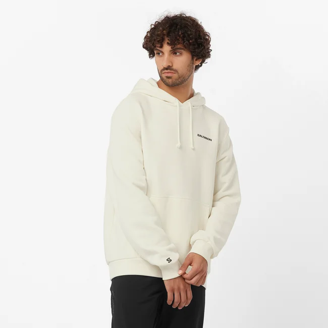SALOMON WINDOW GRAPHIC  Kapuzensweatshirt Herren