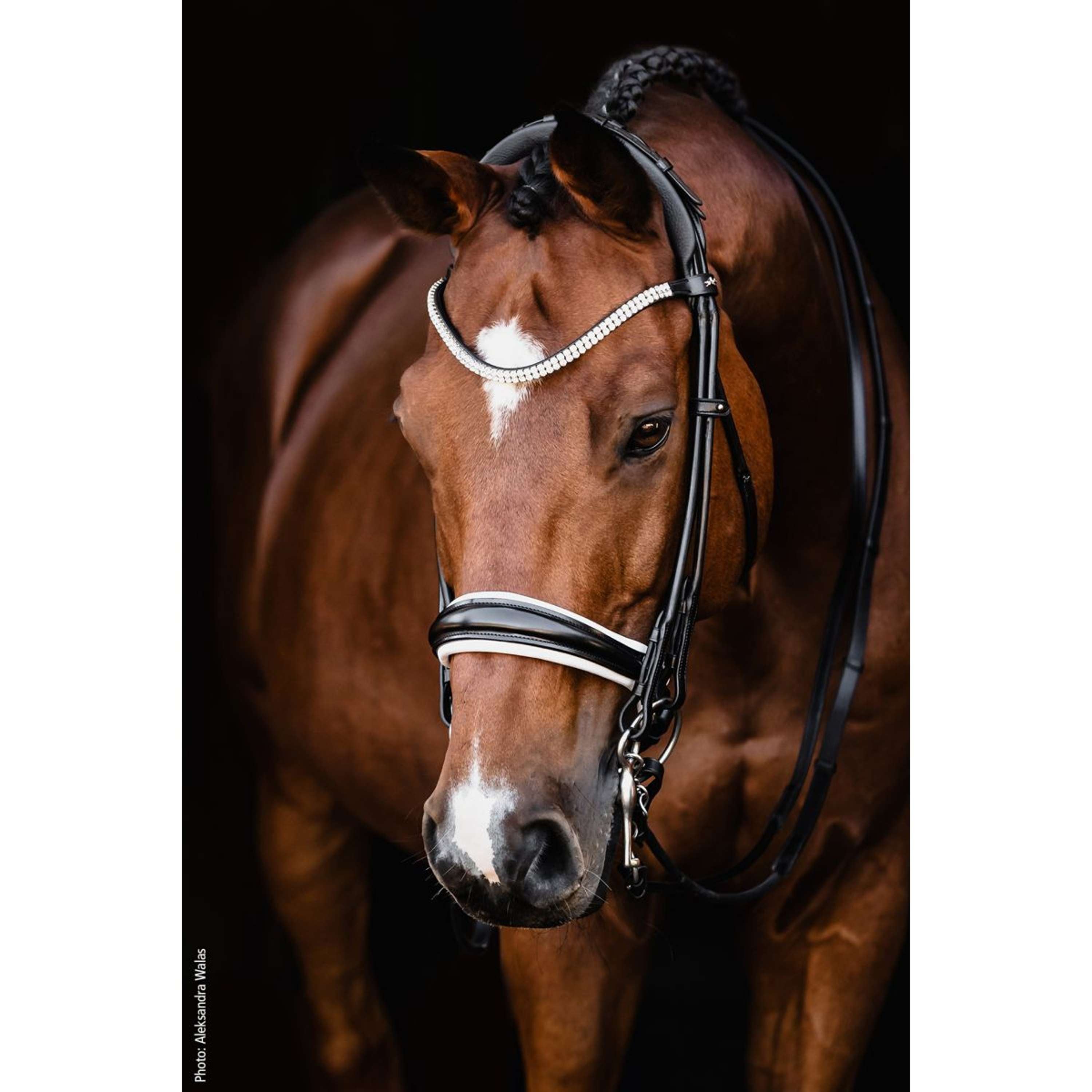 Schockemöhle Stang- en Trenshoofdstel SP Isabell Werth Bella Rose Zwar