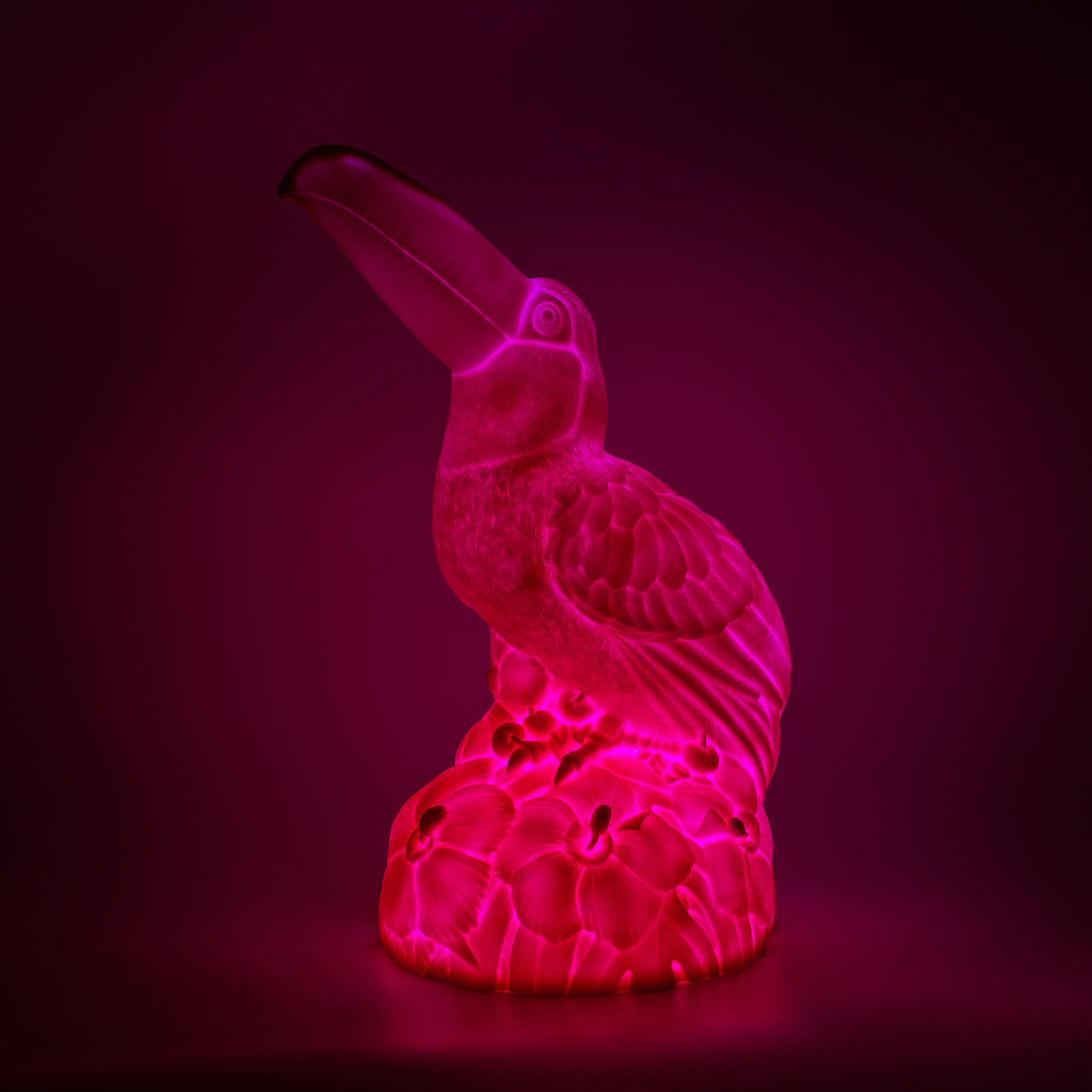 Goodnight Light Eden Toucan Lampe