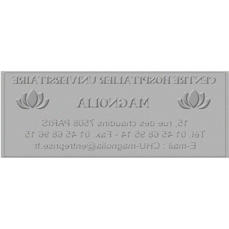 Plaque 58 X 22MM pour tampon Trodat 4913 réf PL 4913