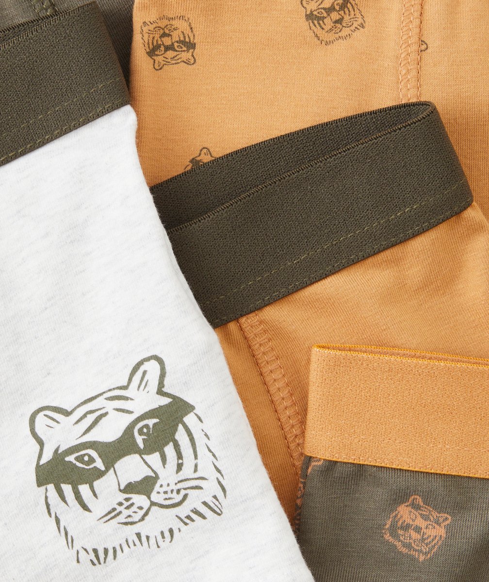 LOT DE 5 BOXERS GARÇON EN COTON BIO KAKI ET MOUTARDE TIGRES
