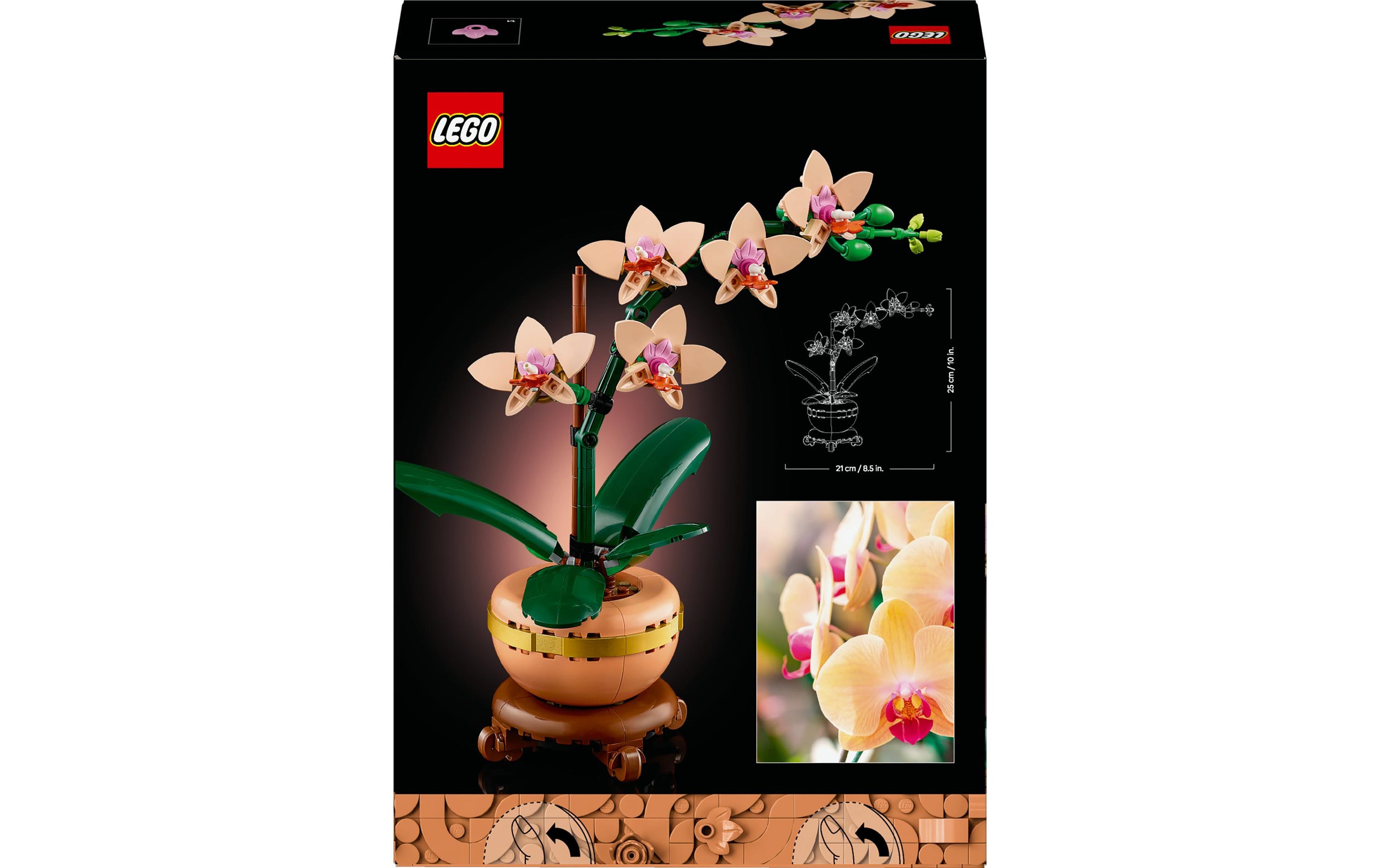 Icons Botanicals Mini-Orchidee 10343Prächtige Lego-Blume, kreativer Bauspass