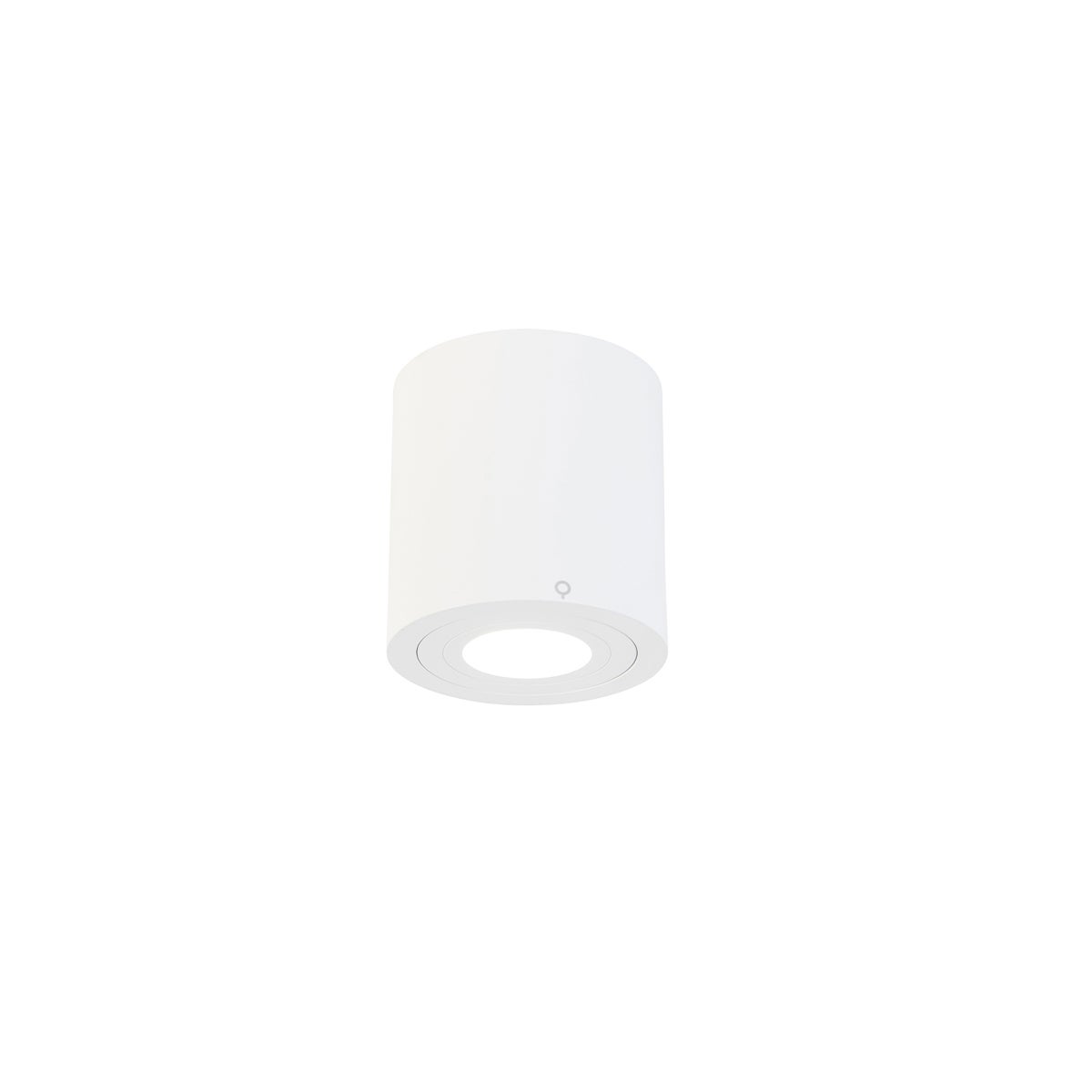 Slimme badkamerspot, wit, rond, IP44, incl. WLAN, GU10 - Capa