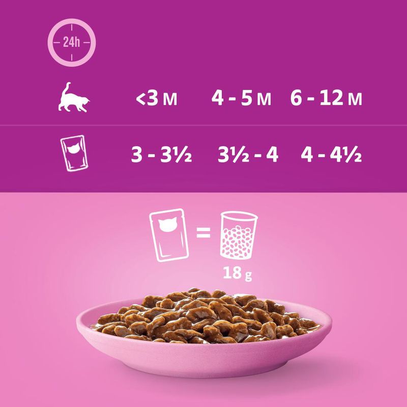 Whiskas Junior 12 x 85 g