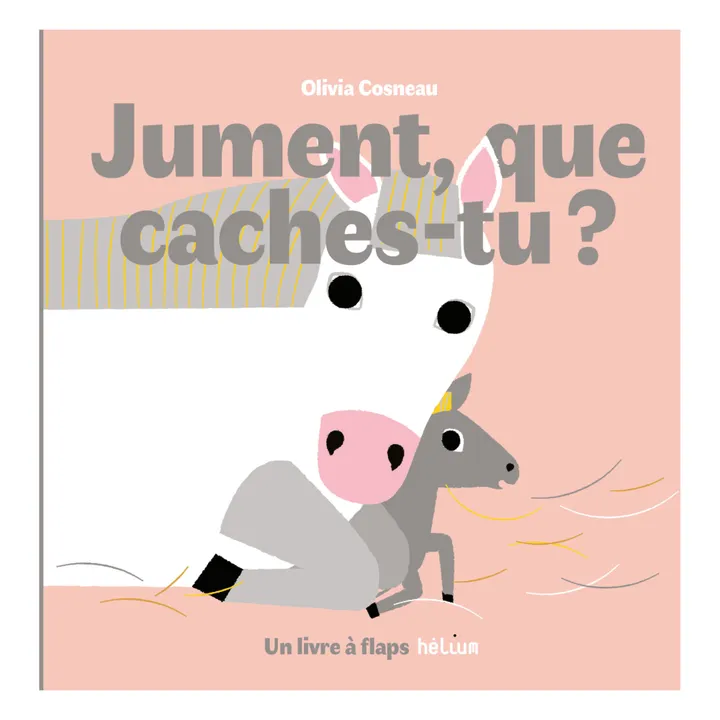 Helium Livre Jument, que caches-tu ? Olivia Cosneau
