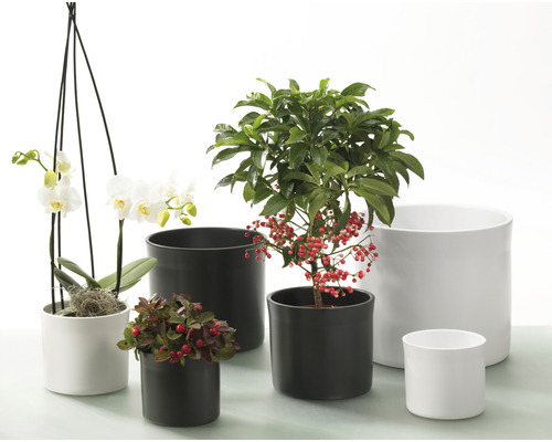 Soendgen Miami keramische bloempot, Ø 13 cm, H 11 cm, wit
