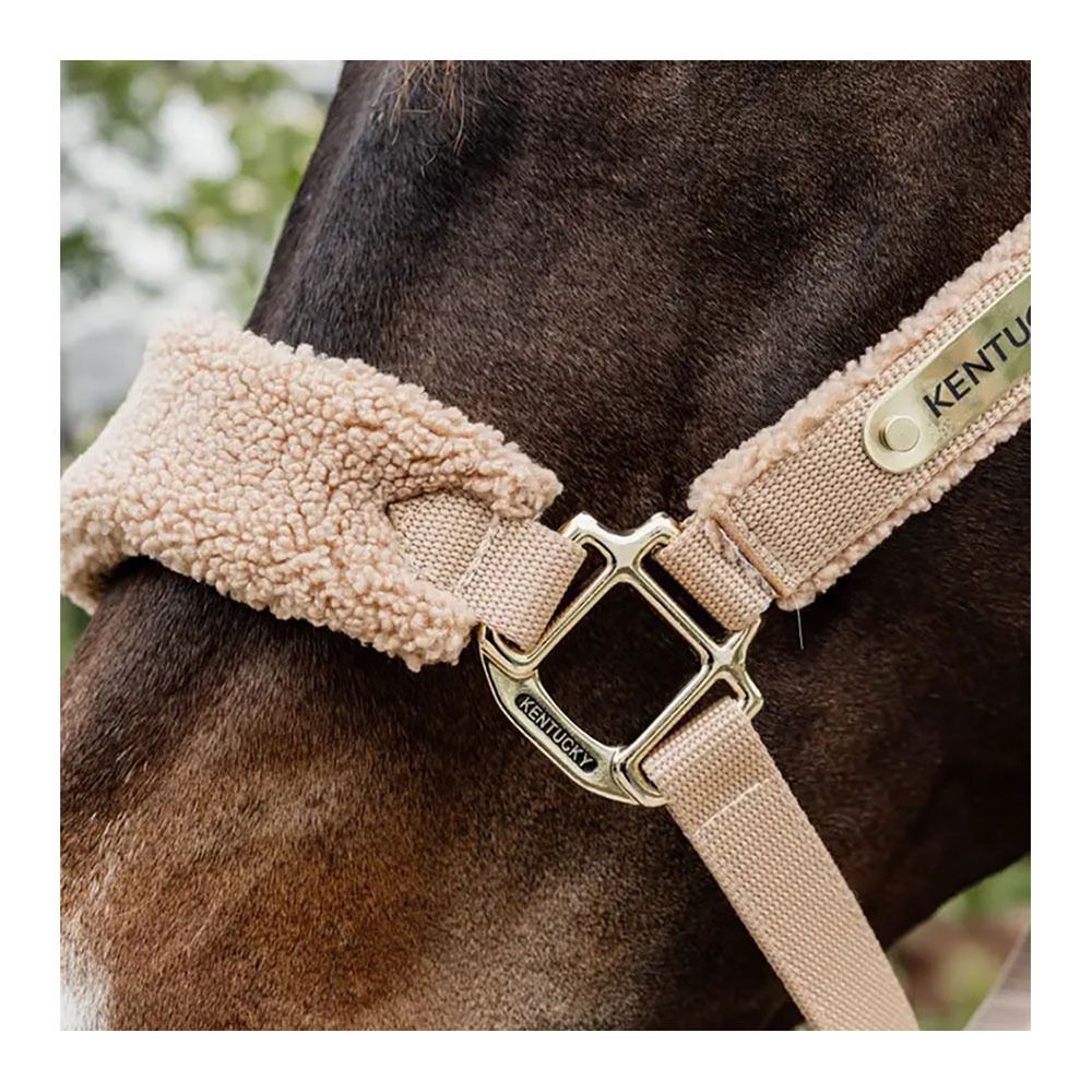 Kentucky TEDDY FLEECE - Licol beige