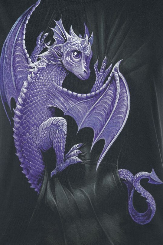 Pocket Dragon | Spiral T-Shirt Manches courtes