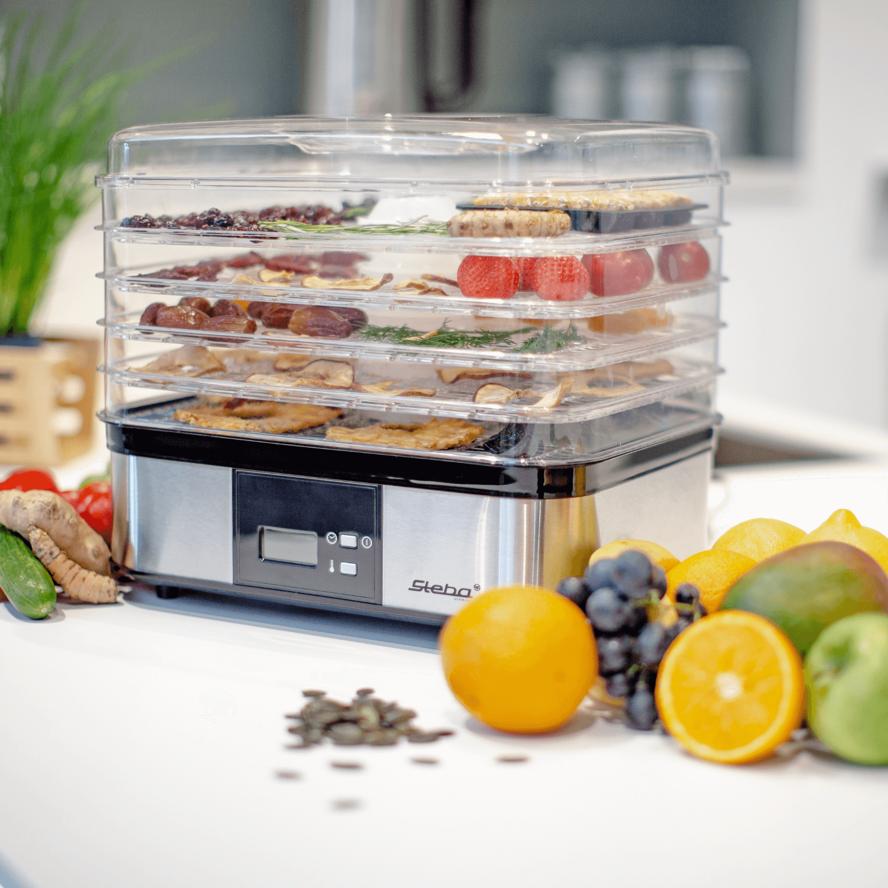 Steba ED 5 Dehydrator