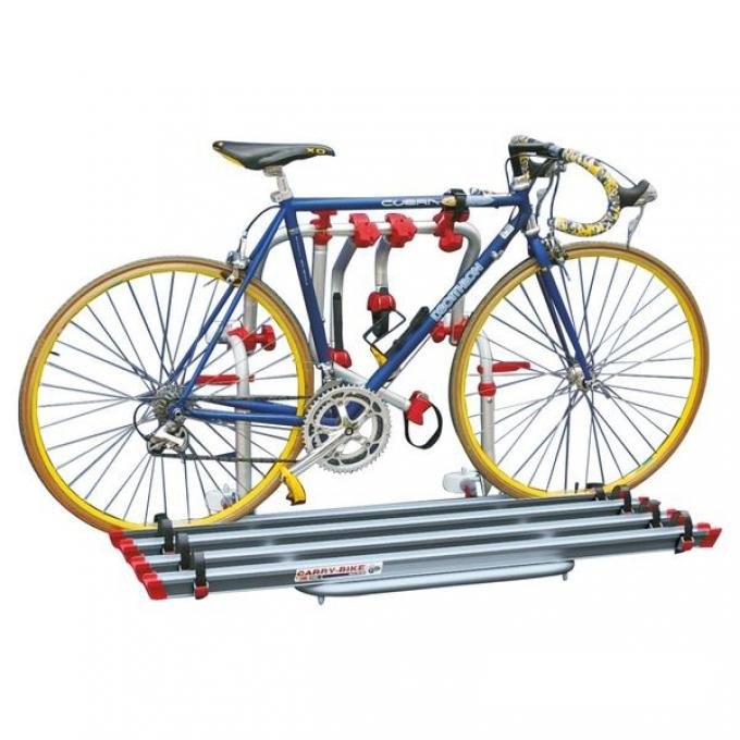 Carry Bike 