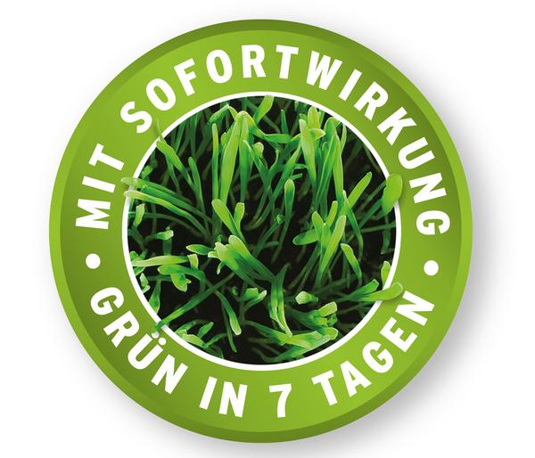 Substral® Rasendünger mit Langzeitwirkung