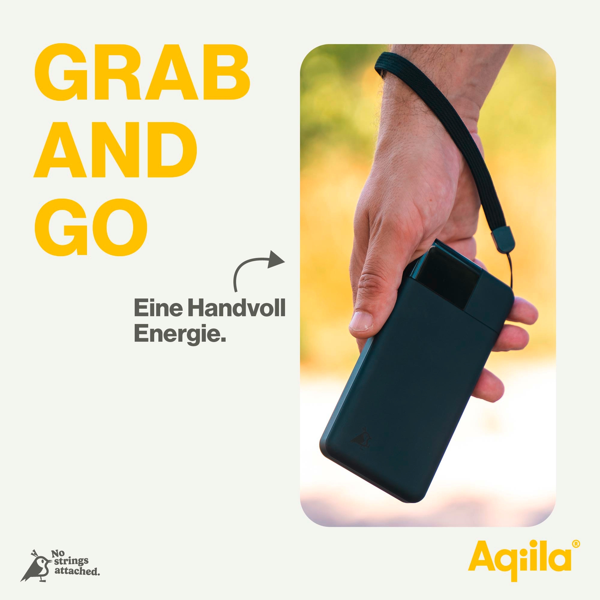 Aqiila Powerbird Powerbank 20 W 10000 mAh schwarz