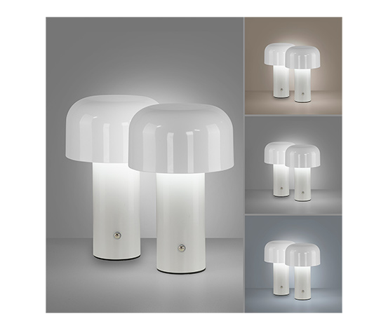Paul Neuhaus LED-Akku-Tischleuchte »Agnes«, 2er-Set, weiß