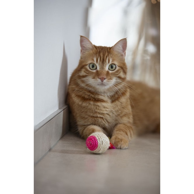 Katzenspielzeug - Sisalball - ∅ ca. 4 cm