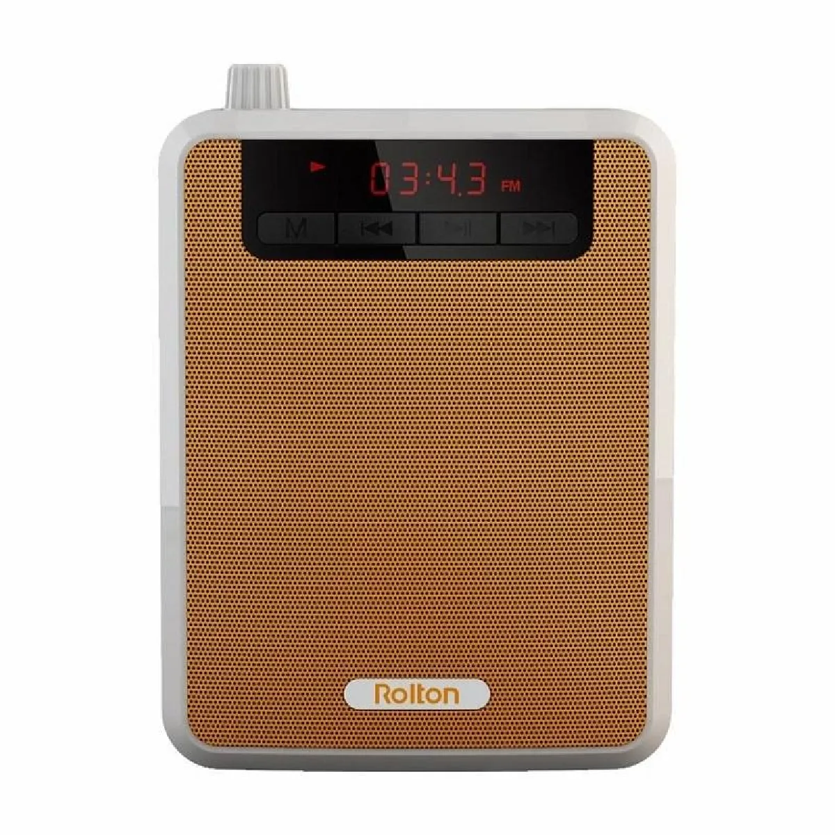 Yonis Microphone Amplificateur Portable