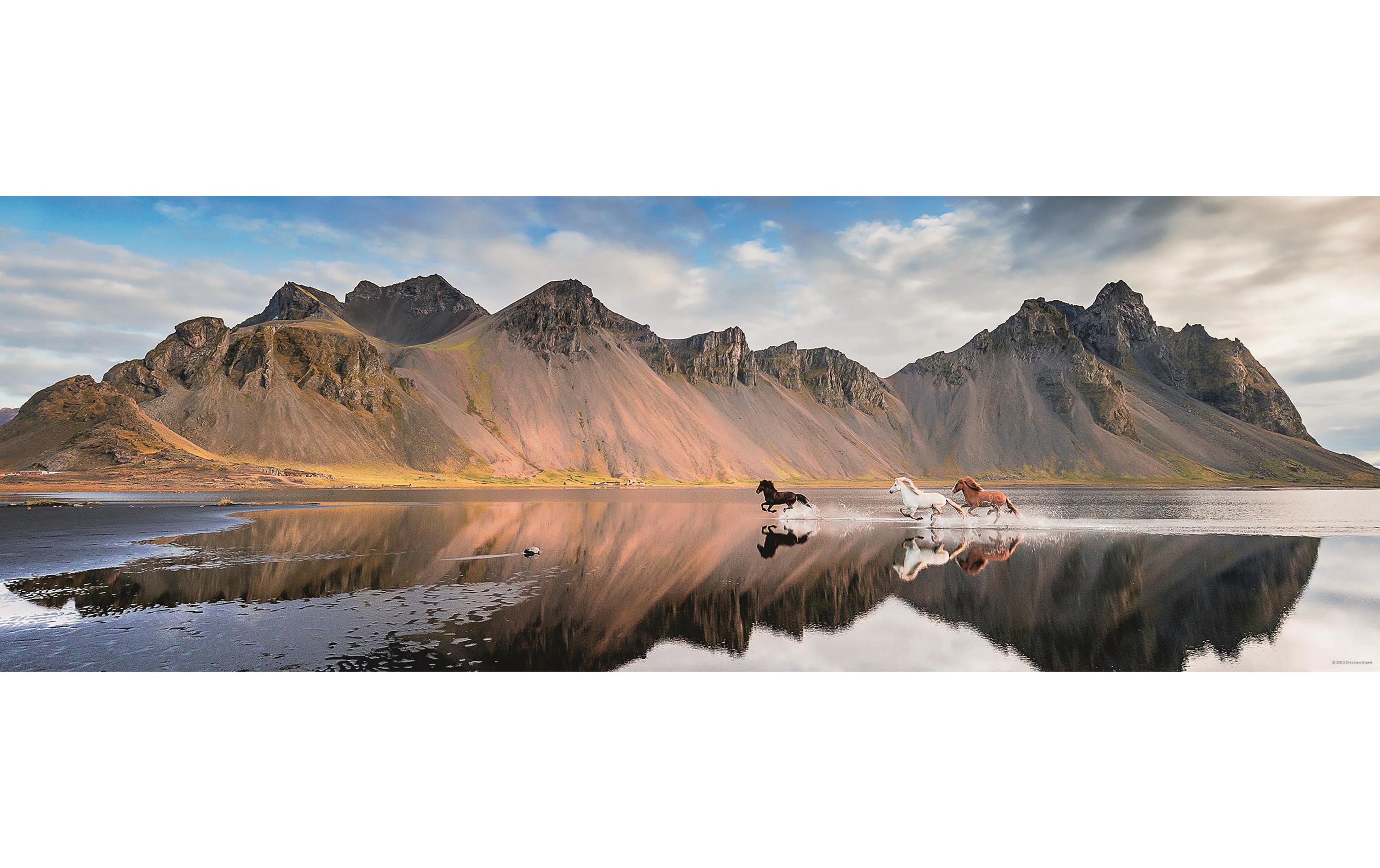 Puzzle Iceland Horses PanoramaPuzzle mit 1000 Teilen