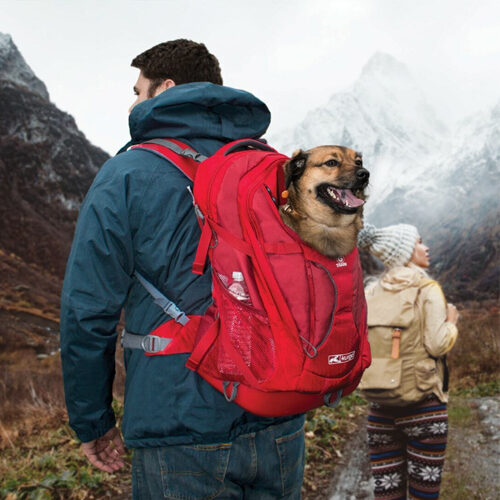 Kurgo G-Train Pack