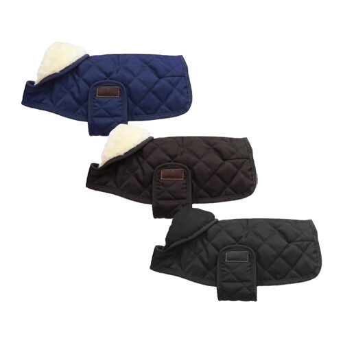 Kentucky Dog Coat Original
