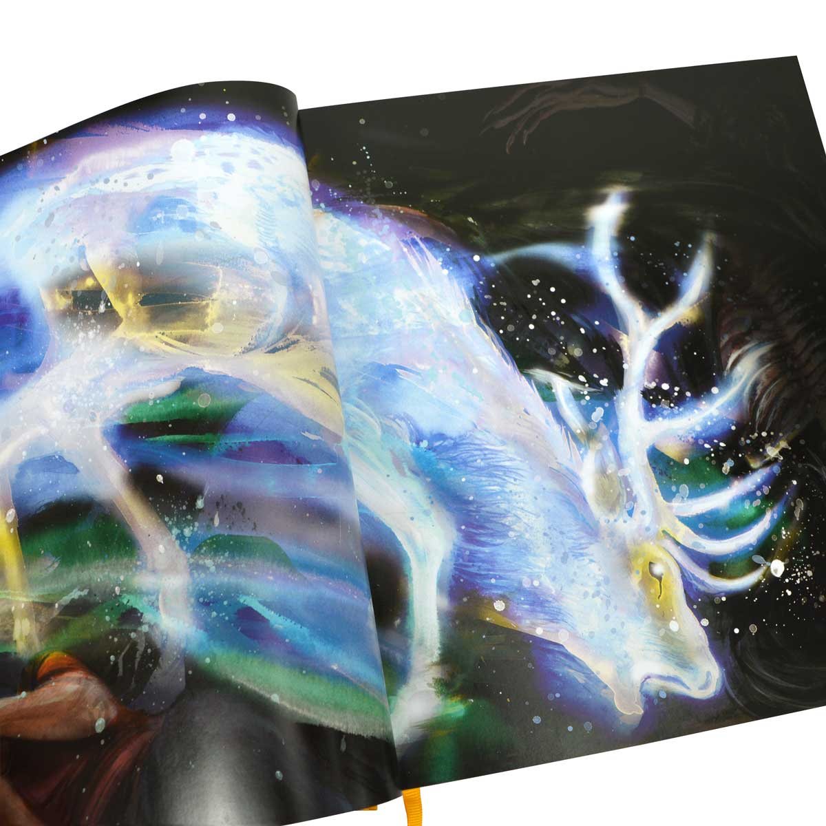 Harry Potter and the Order of the Phoenix (Hardback)