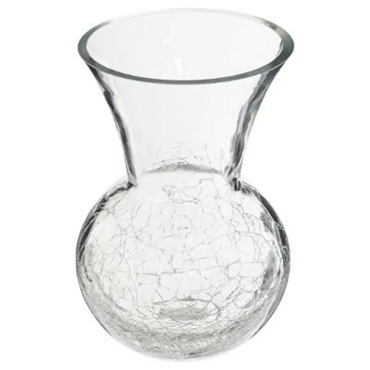 Vase en Verre Craquelé