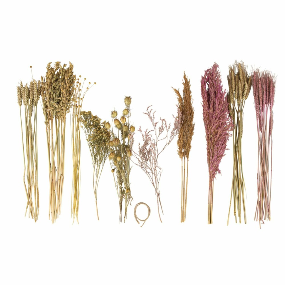 Assortiment de fleurs séchées