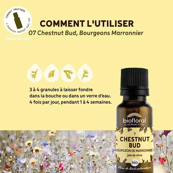 Biofloral 07 Chestnut Bud - Floral de Bach Orgânico 19,5g