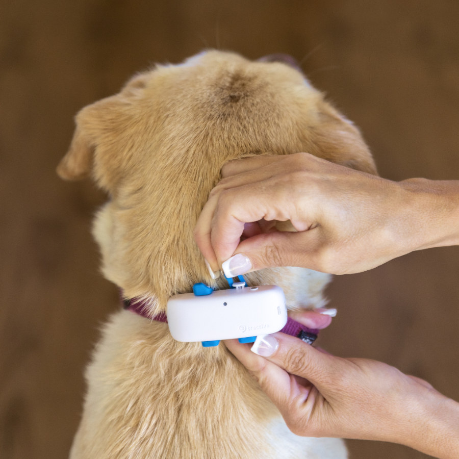 Rastreador GPS Tractive para Cães, Branco