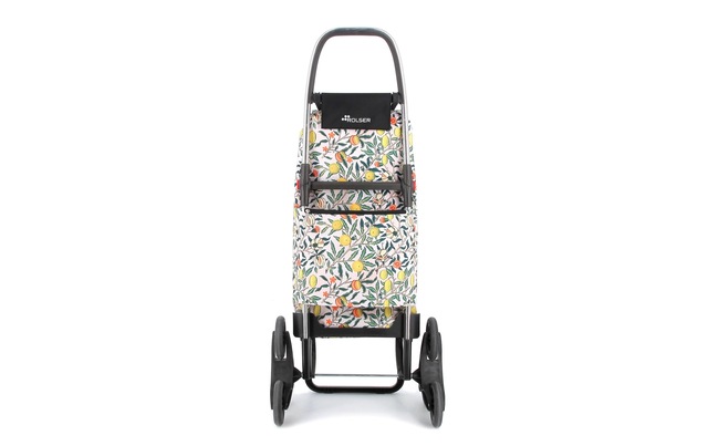 Rolser Einkaufstrolley »I-Max W. Morris 6«