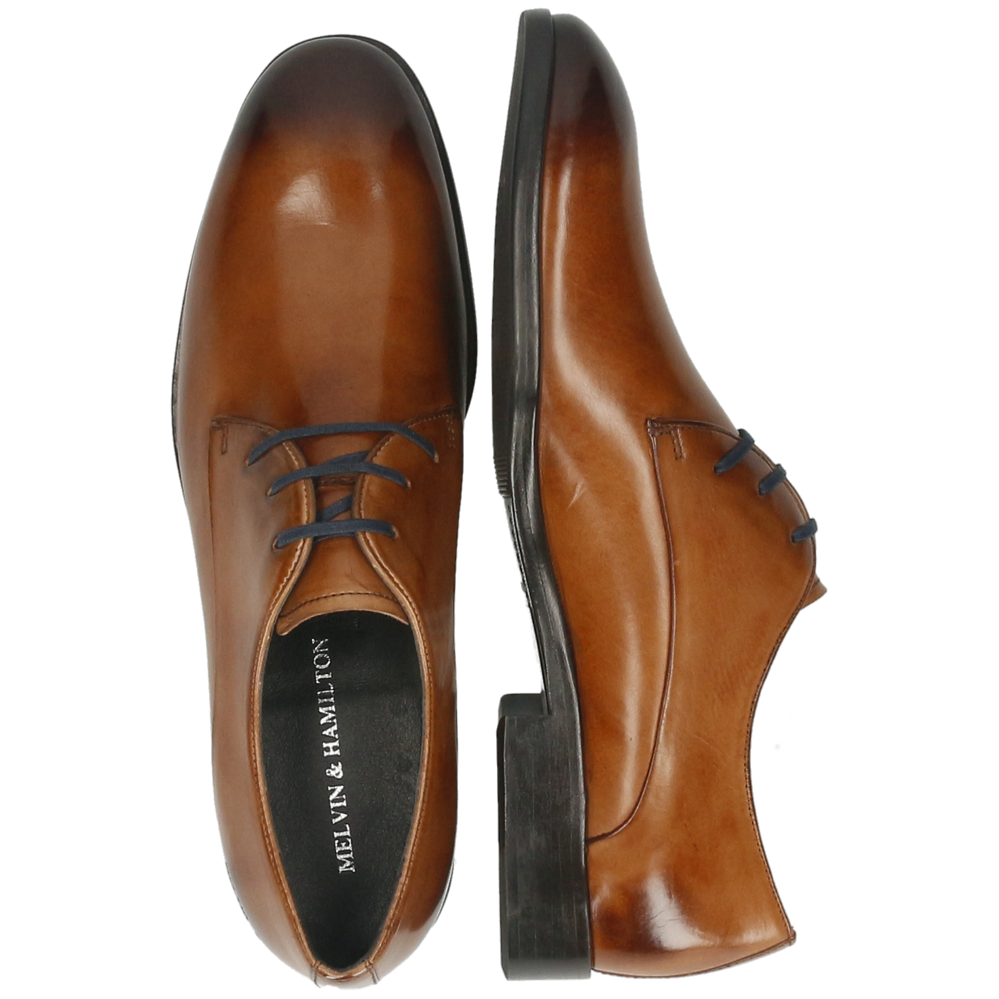 PRIMO 1 - Derbies en cuir | Marron