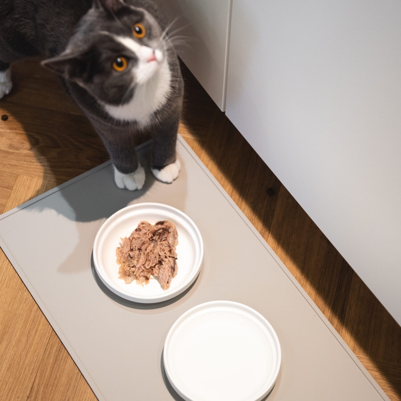 LucyBalu BOWL Porzellan Katzennapf weiß