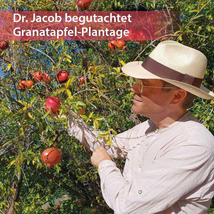 Granaimun Dr. Jacob`s Tropfen, 100 ml
