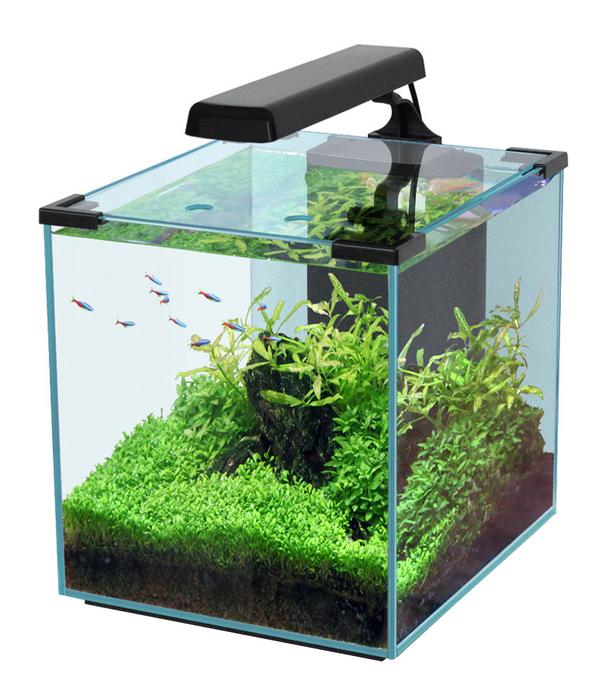 aquatlantis Aquarium Nano Cubic 30