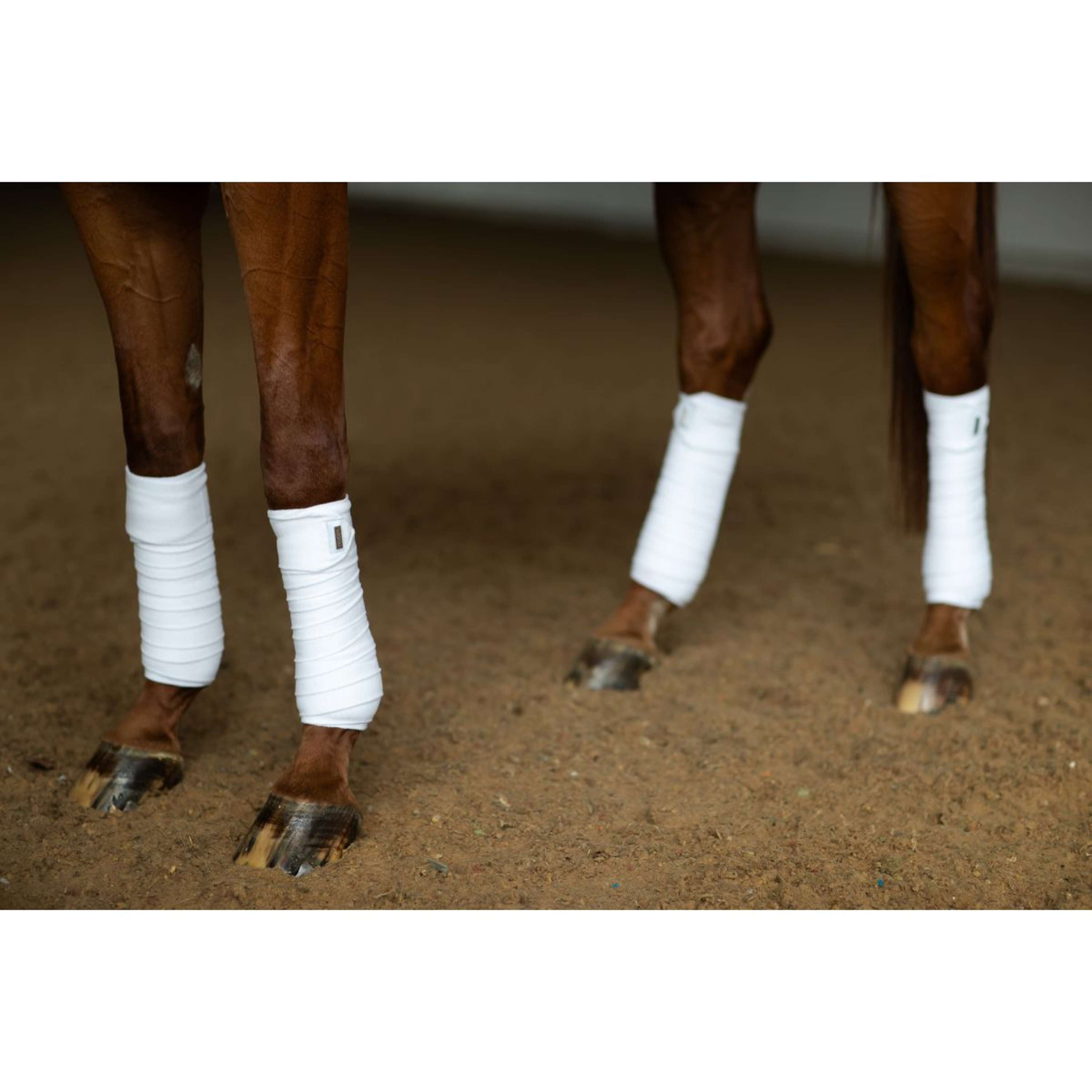 Equestrian Stockholm Bandages White Silver