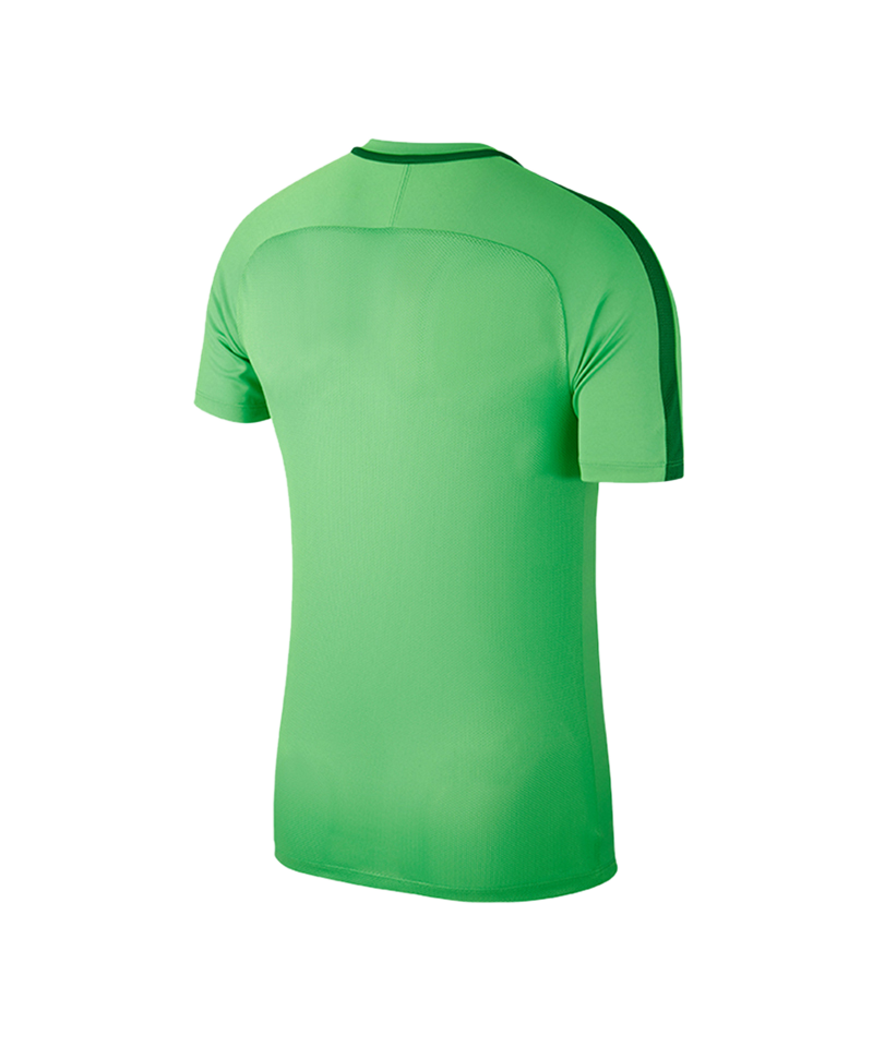 Nike Academy 18 T-Shirt Grün F361